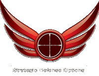 Strategic Defense Options
